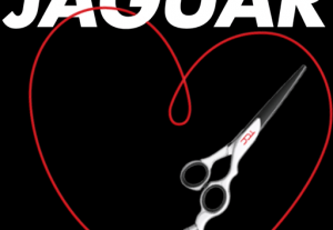 Melegollós hajvágás - Lezárja a hajvéget, így nem törik fel a hajvég, eredmény hosszabb haj!